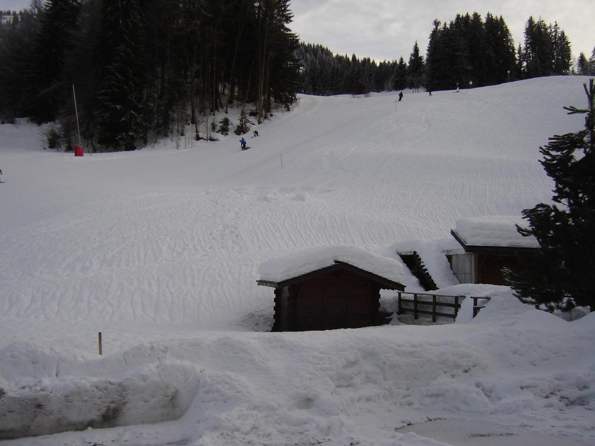 Hotel Les Bernards Praz-sur-Arly Εξωτερικό φωτογραφία