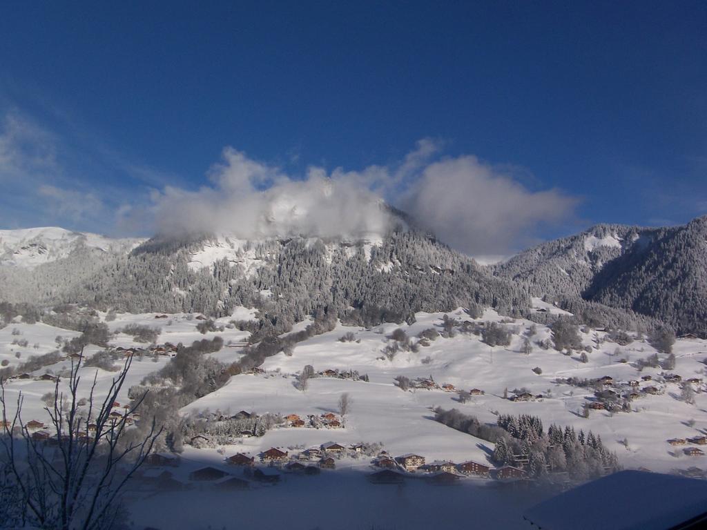 Hotel Les Bernards Praz-sur-Arly Εξωτερικό φωτογραφία