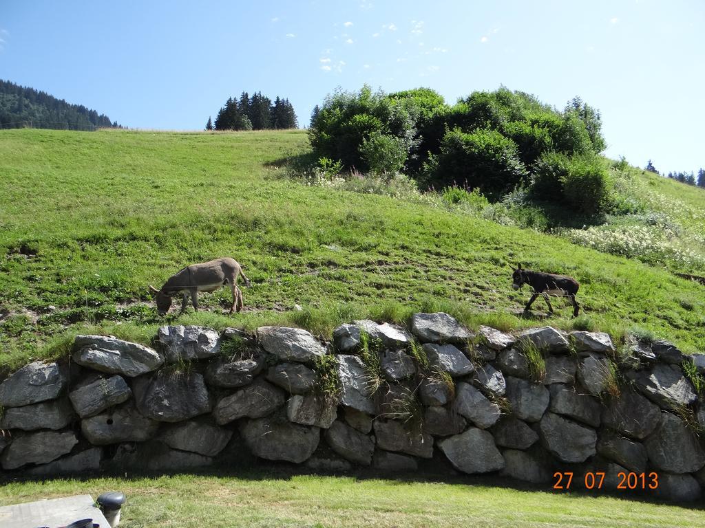 Hotel Les Bernards Praz-sur-Arly Εξωτερικό φωτογραφία